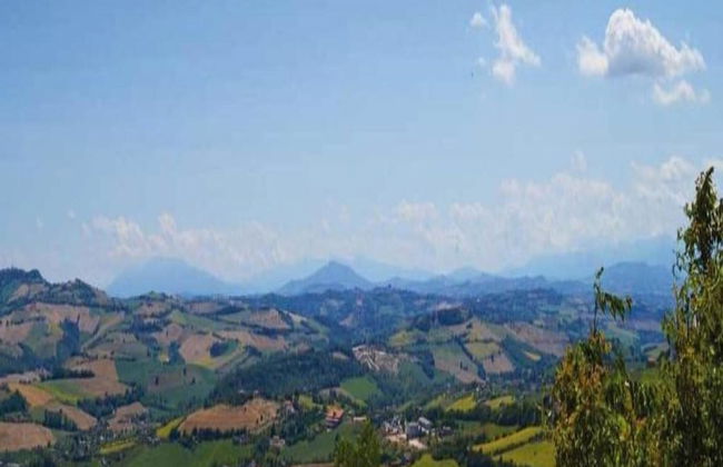 Apartment in a Farmhouse With Pool - Foto 33