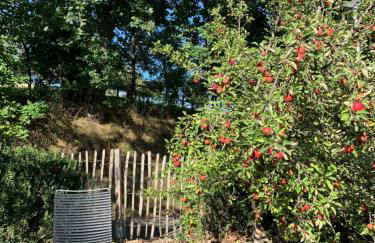 Nibelungen Odenwaldhaus - Foto 68