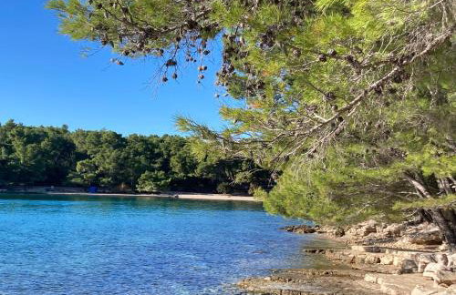 Il Melograno Vrbanj Hvar - Foto 55