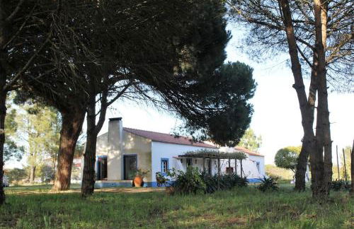 Casa do Pinheiro - Foto 6