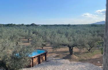 La Plana “alojamiento turístico vacacional” - Foto 13