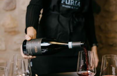 Villa del Brolo - Famiglia Furia - Foto 27