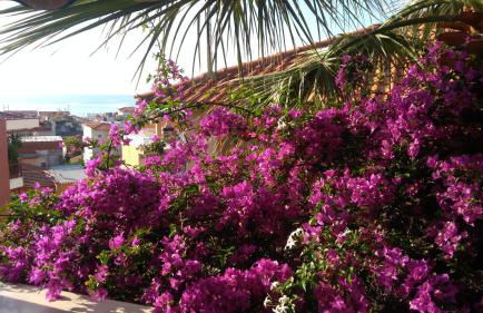 Haus Despina - Foto 27