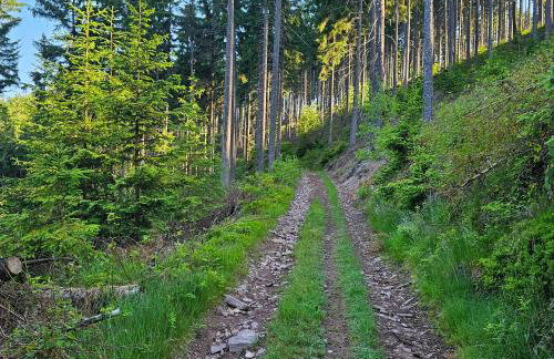 Graniczna 21 - w Górach Sowich - Foto 34