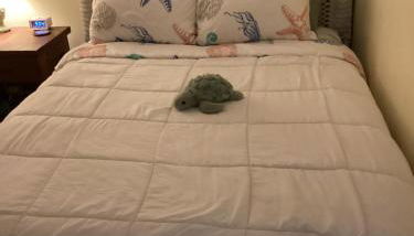 BEACH COTTAGE 2nd HOUSE FROM BEACH - Foto 3