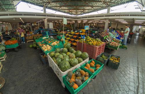 Home Azores – Casas da Ladeira - Photo 108