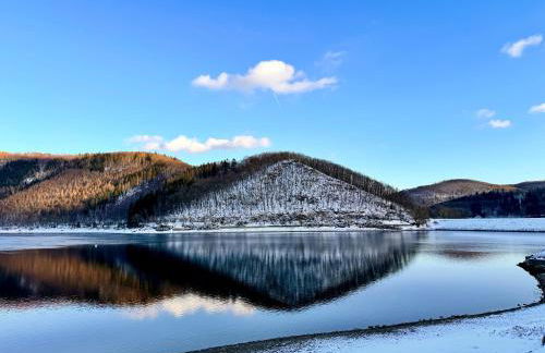 Noah - Seeleben auf Zeit am Rursee - Foto 30