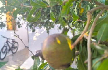 Εξοχική Μονοκατοικία με αυλή και εξωτερική αποθήκη-Country house with yard and external warehouse - Foto 20