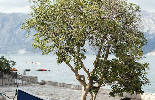 Step to Kotor bay Stoliv - Photo 78