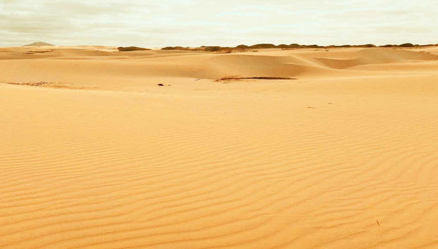 Boa Vista Island Tour - Foto 3