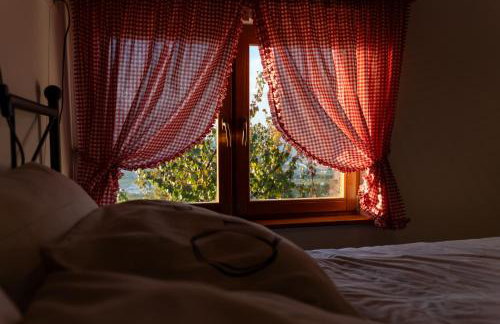 Ruralna kuća za odmor KOVIN BREG - Foto 16