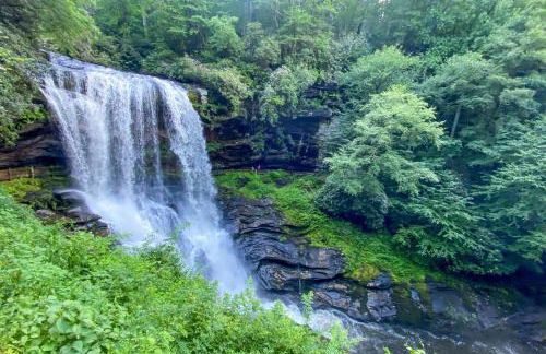 Chalet at Peek's Creek - Foto 33