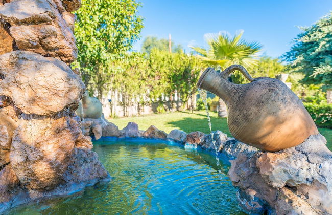 Hibiscus in Sa Pobla - Foto 32