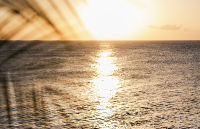 Sunset Reef St.Kitts - Foto 47