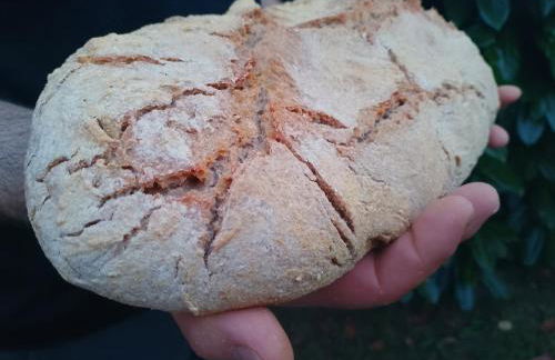 Agriturismo la Fattoria al Crocefisso - Foto 12