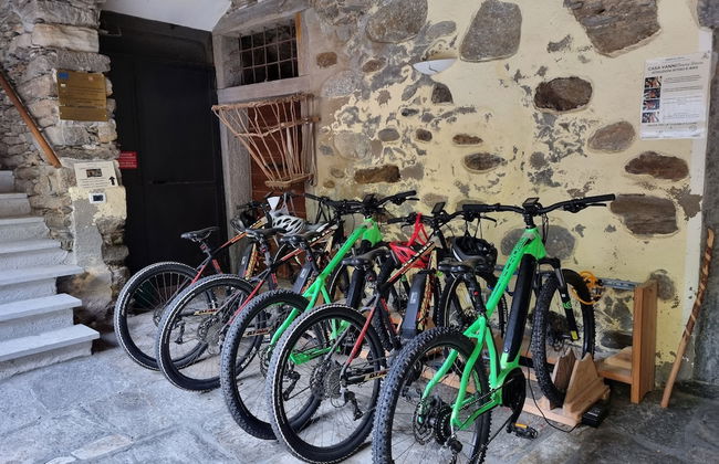 Dimora Storica Casa Vanni - Foto 50