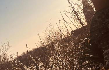 "Ninho de Amor" troglodyte unique - Foto 20