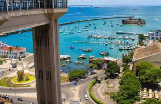 Casa na Árvore - Foto 37