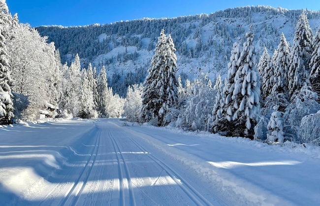 Haus Lesch - Stilvolle Appartements mit tollem Bergblick in Kreuth am Tegernsee - Foto 44