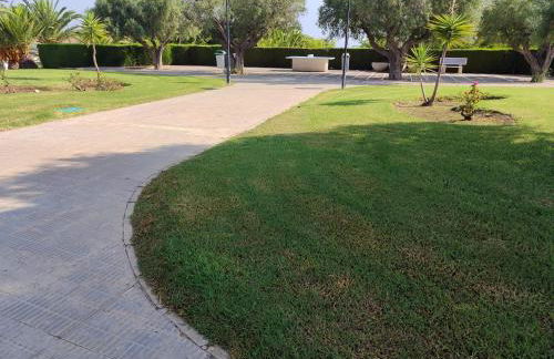 Gran Vista - Photo 11