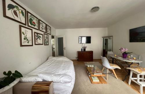 Full Flat in City Centre with Balcony - Foto 19