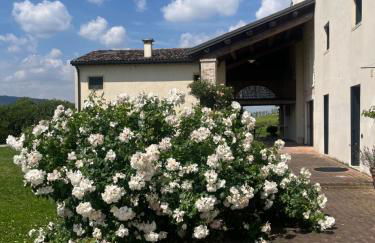 Corte Monticello - Foto 46