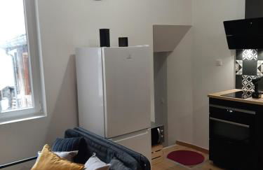 LOUHANS Les Petites Arcades avec ses deux appartements coté Arcades et coté cour - Foto 21