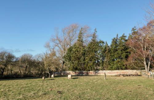 Cheviot View - Foto 19