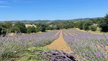 Agriturismo CasaViVa - Foto 2, Garden, Garden view