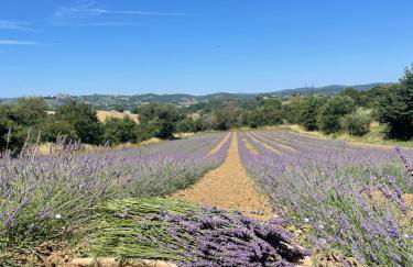 Agriturismo CasaViVa - Photo 2