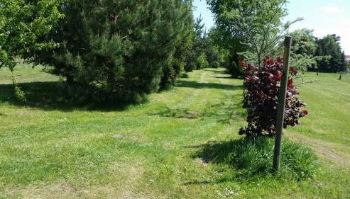 Ferienhaus "Schick" - Foto 3