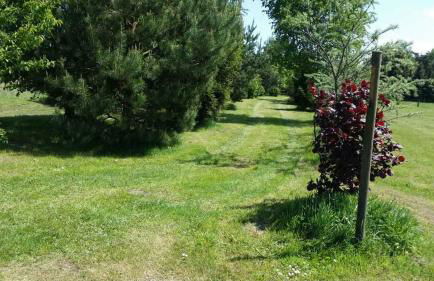 Ferienhaus "Schick" - Foto 3