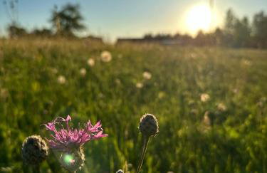 Nad Isągiem - Photo 40