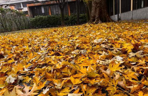 Vivi Milano Apartment near Exhibition Area Free Parking Newly Renovated - Foto 54