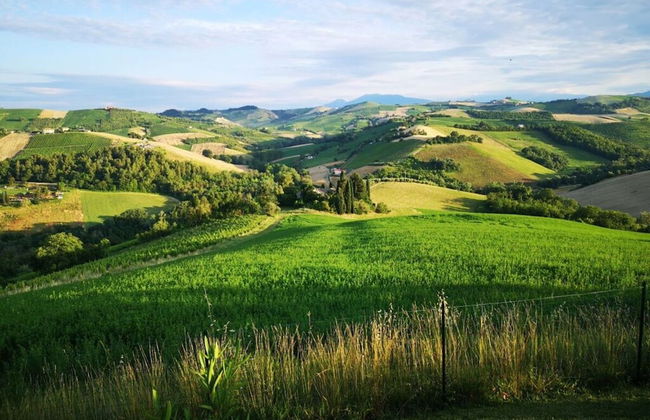 Cypressa Modern Retreat - Foto 14