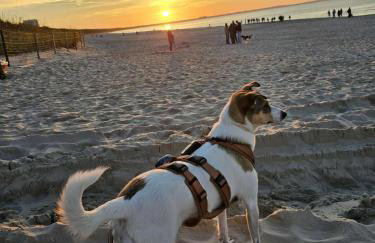 Ferienhaus Sieroslaw polnische Ostsee mit Kamin - Photo 42