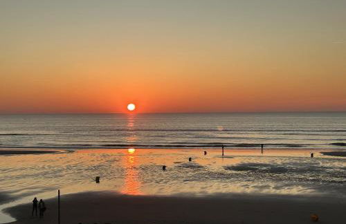 Hardelot Face Mer - Foto 39