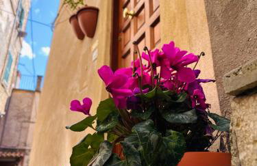 Il Rifugio Nel Vicolo - Foto 2