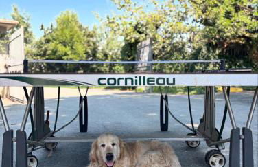 Agriturismo AgriTexS - Foto 31