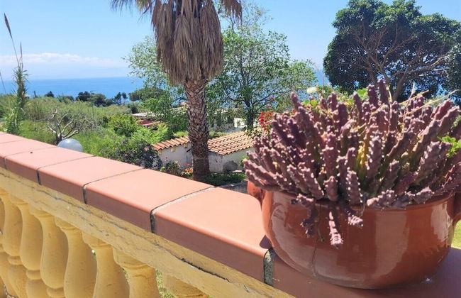 Ville Selena e Gemma - Foto 64