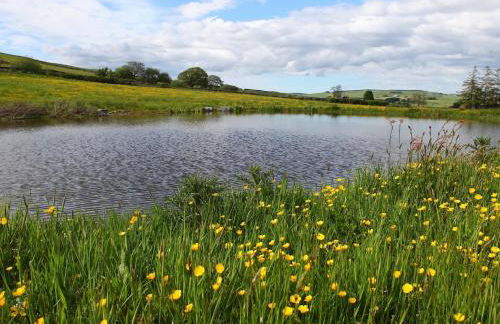 1 Bed in Ty Nant 52509 - Photo 16