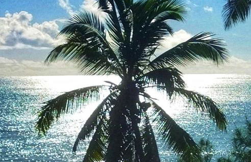 Cabanas Caraúbas - frente para o mar, ar & Tv - Foto 15