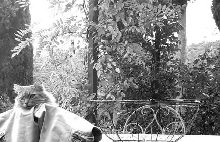 Podere Pievina Delle Corti - Dimora di Campagna - Photo 22