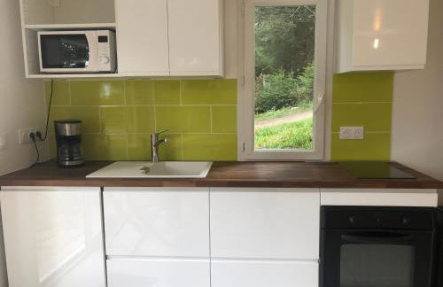 STUDIO SYMPA et AU CALME - Foto 9