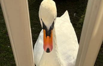 Rachels Luxury Tattershall Hot Tub & Fishing Retreat - Foto 57