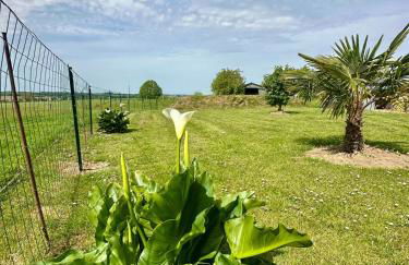 gite des hirondelles o - Foto 10