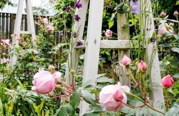 Romantic Cotswold Cottage- dog friendly and village location - Photo 26