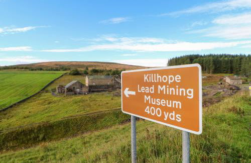 The Museum - Foto 35