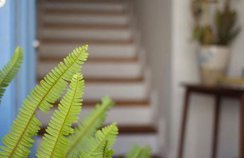 La Grulla Dorada - Foto 27