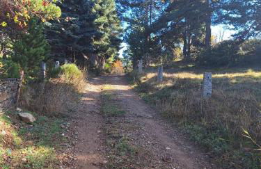 refugio en el bosque - Foto 10